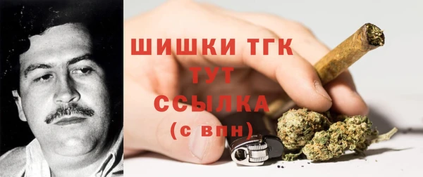 mdpv Гусев