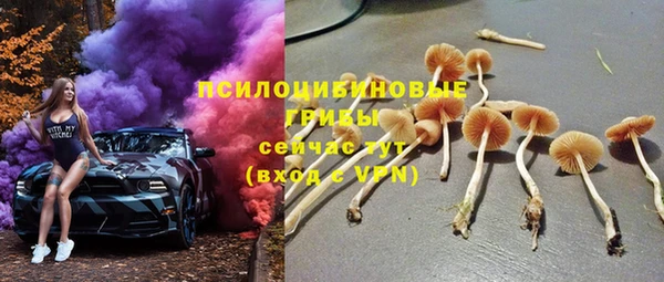 марки lsd Карпинск