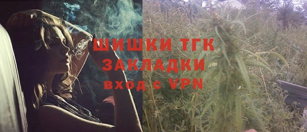 молекула духа Пролетарск