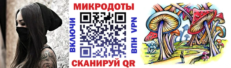 купить наркоту Сычёвка Галлюциногенные грибы Psilocybe