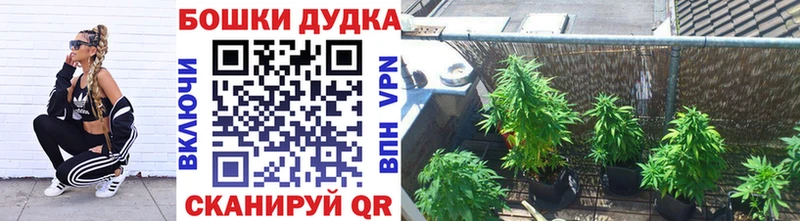 МАРИХУАНА сатива  Сычёвка 